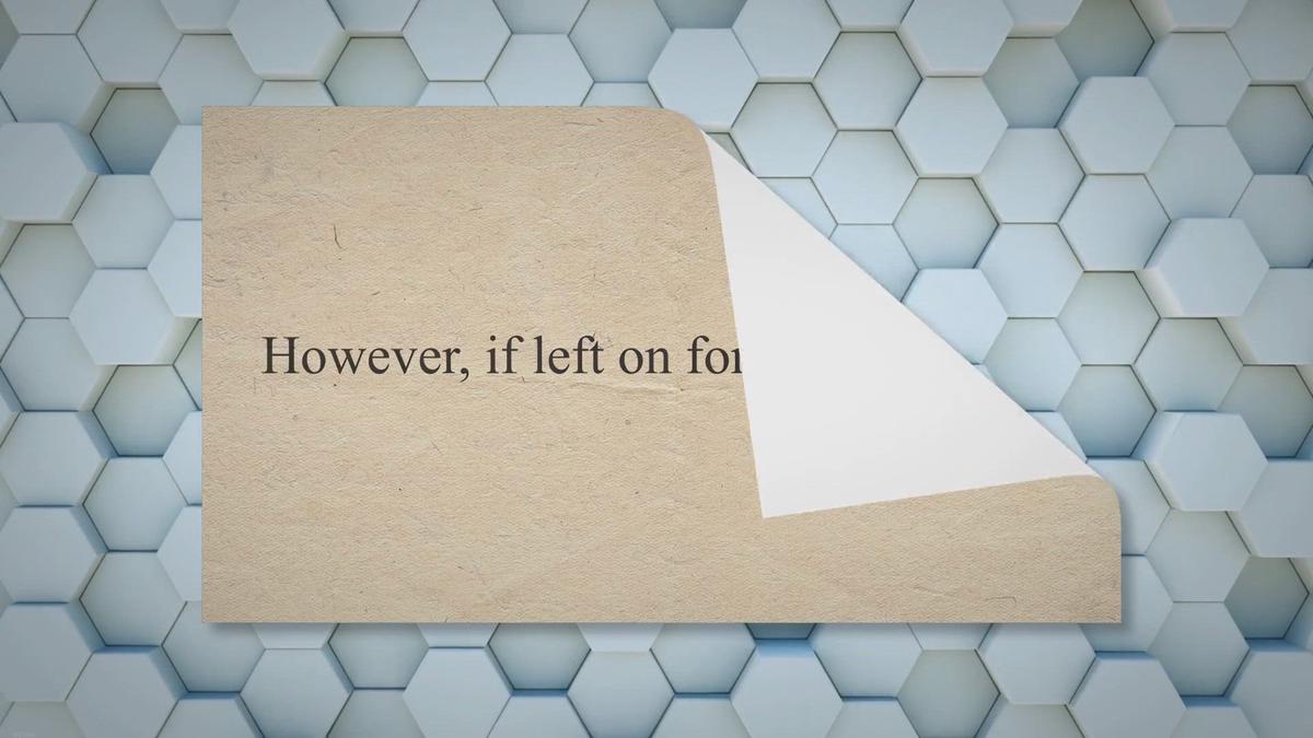 The Dangers of Leaving Your Electric Stove On