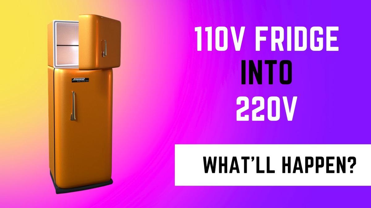 Can you Plug 110v Fridge into 220v?